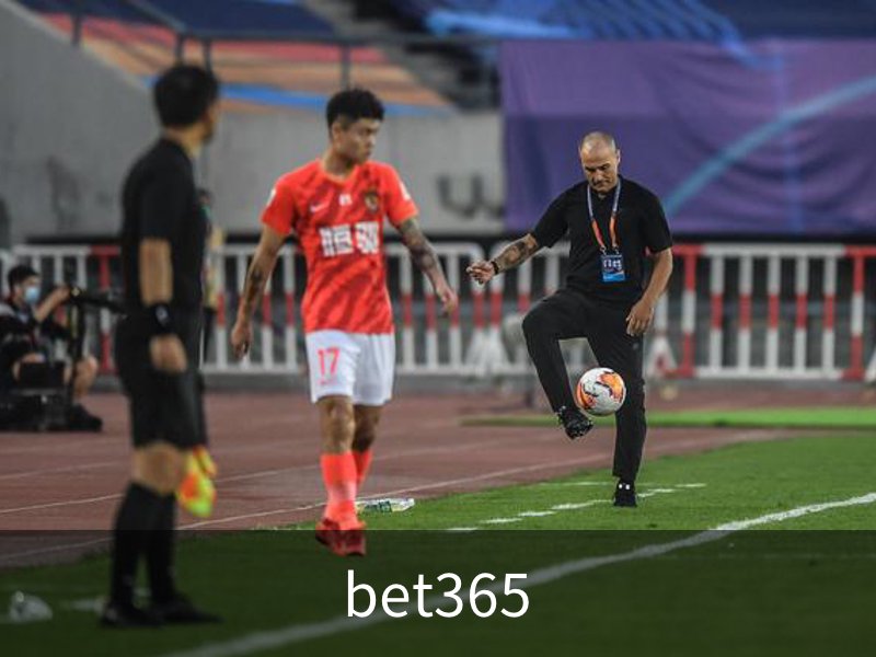 了解bet365